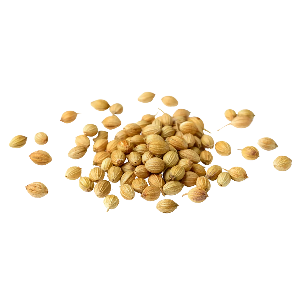 Coriander seeds