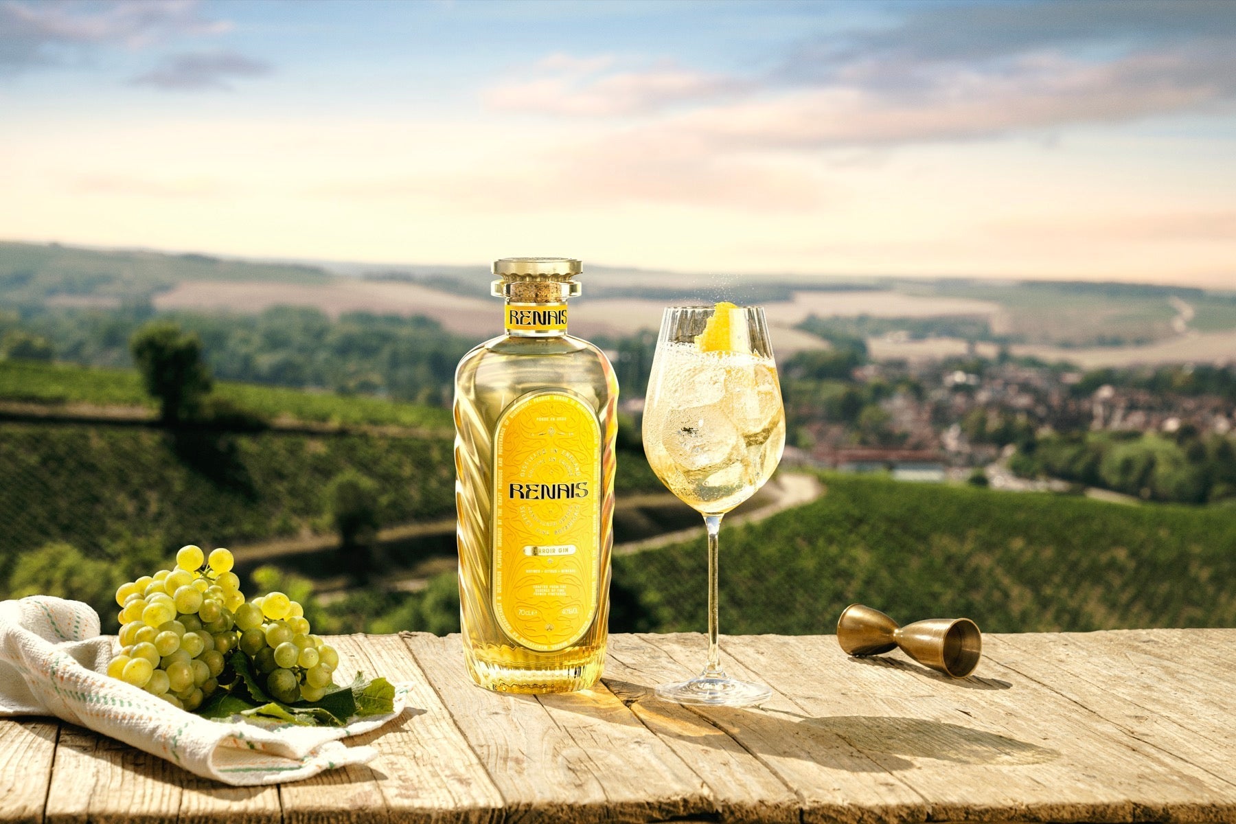 Renais Terroir Gin and a spritz beside French wine grapes, overlooking the vineyard