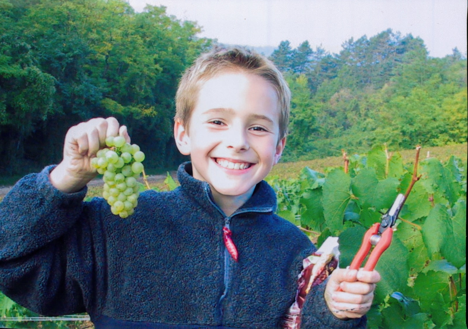 Young Alex in the family vineyard
